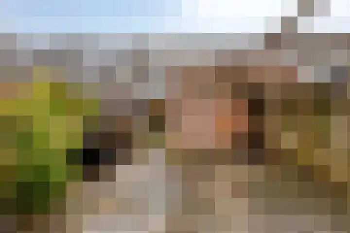 Galkemaheerd 34 Groningen thumbnail 45