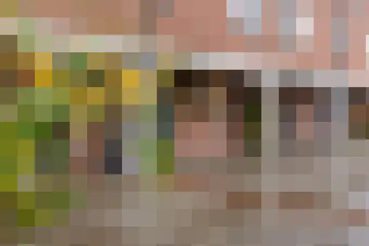 Galkemaheerd 34 Groningen thumbnail 5