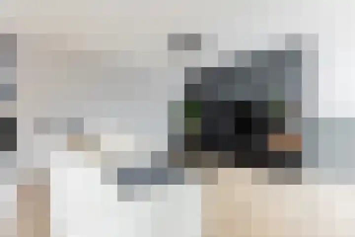 Galkemaheerd 82 Groningen thumbnail 15