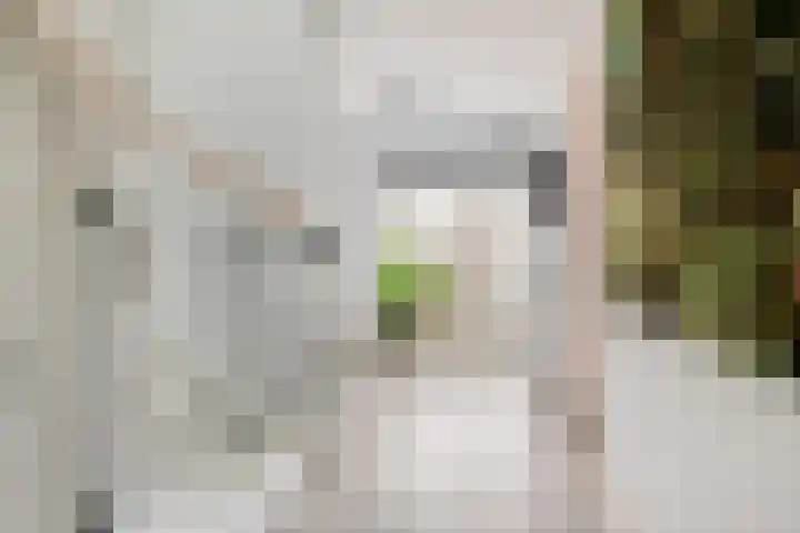 Galkemaheerd 82 Groningen thumbnail 16