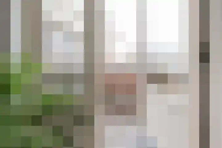 Galkemaheerd 82 Groningen thumbnail 17