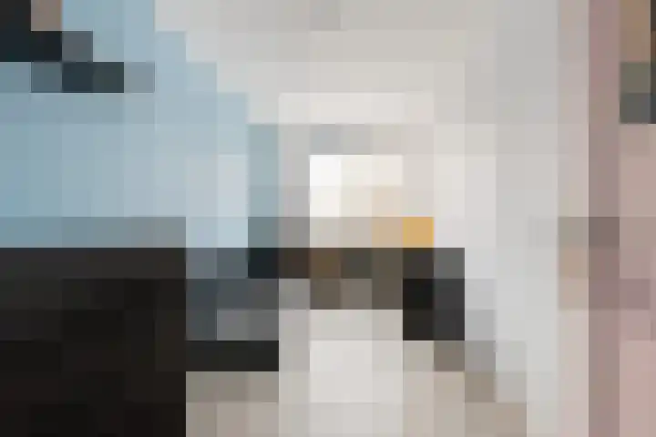 Galkemaheerd 82 Groningen thumbnail 24