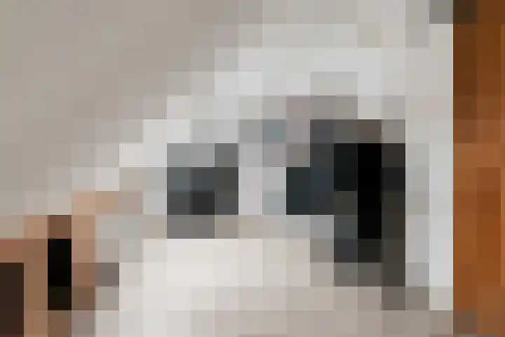 Galkemaheerd 82 Groningen thumbnail 28