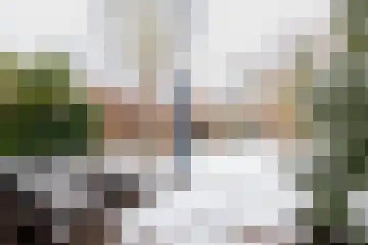 Galkemaheerd 82 Groningen thumbnail 36