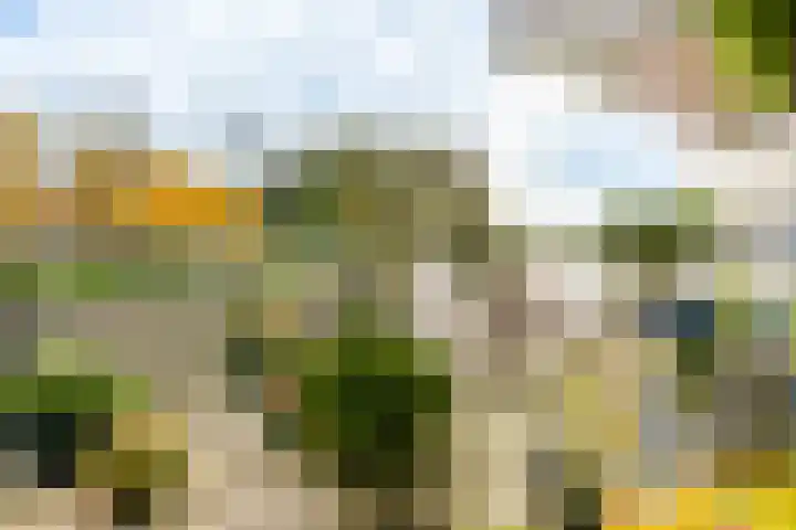 Galle Promenade 758 Velserbroek thumbnail 33