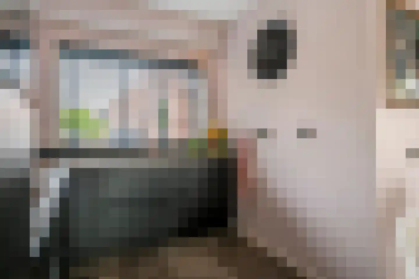 Gallencamp 23 Tiel thumbnail 16