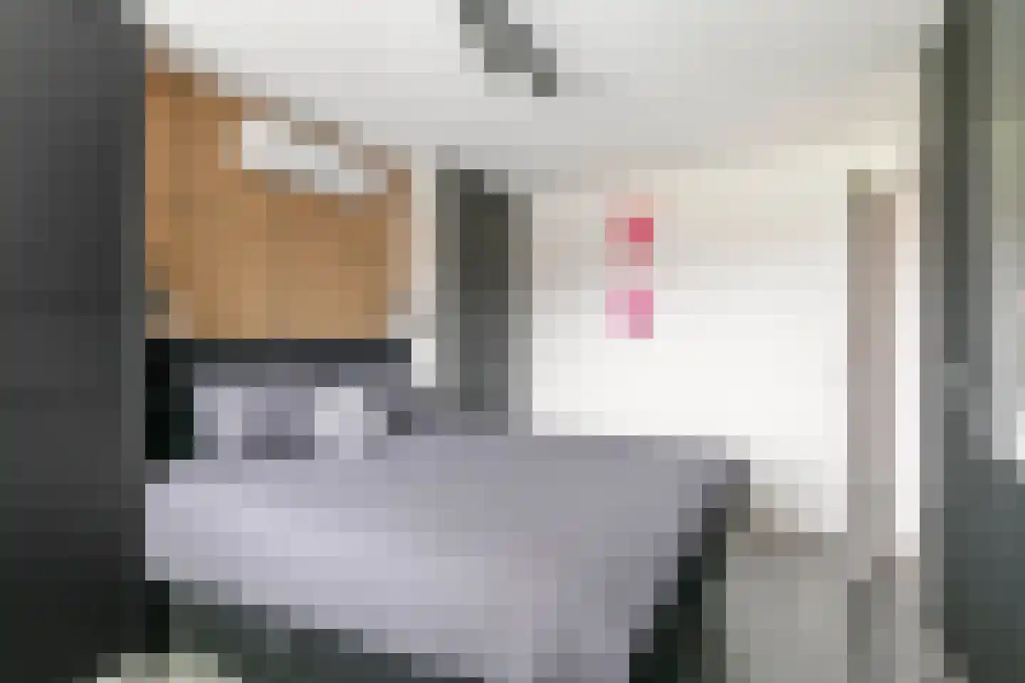 Gallencamp 23 Tiel thumbnail 21