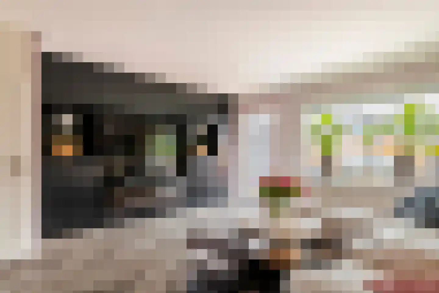 Gallencamp 23 Tiel thumbnail 8