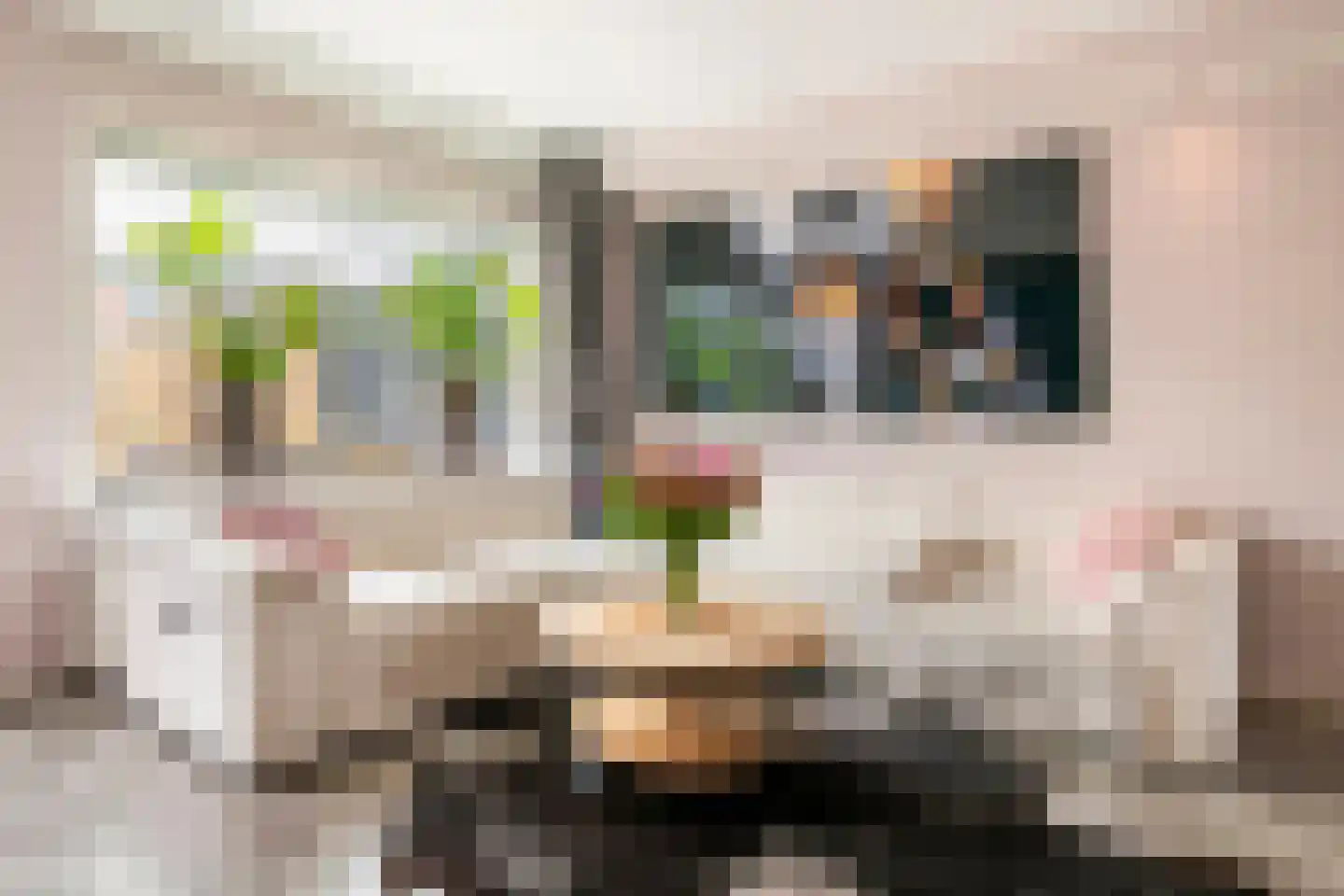 Gallencamp 23 Tiel thumbnail 9