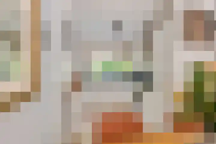 Gallencamp 24 Tiel thumbnail 15