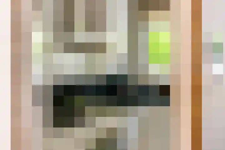 Gallencamp 24 Tiel thumbnail 17