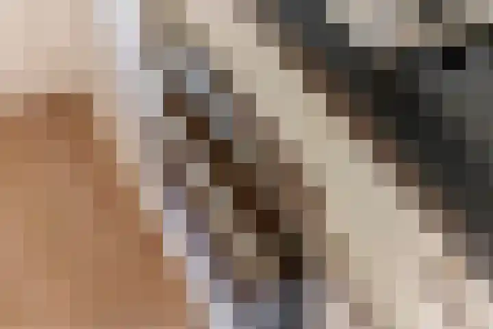 Gallencamp 24 Tiel thumbnail 18