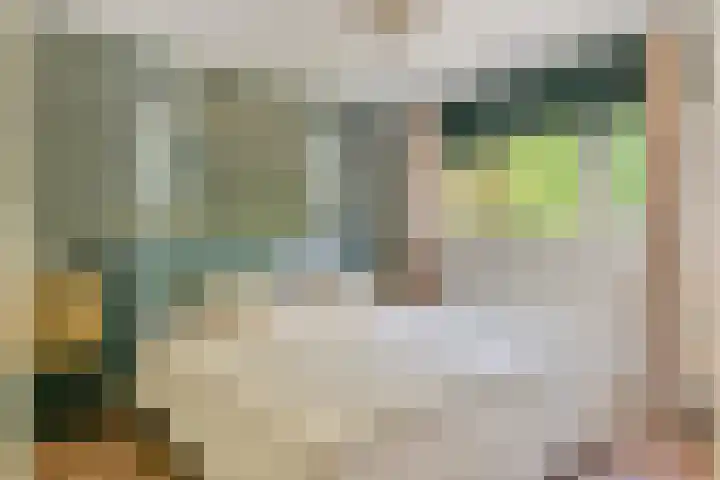 Gallencamp 24 Tiel thumbnail 22