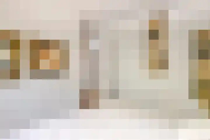 Gallencamp 24 Tiel thumbnail 24