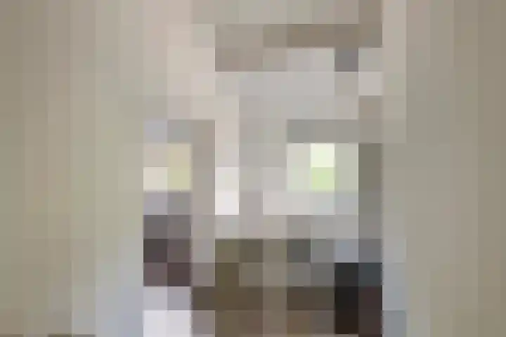 Gallencamp 24 Tiel thumbnail 28