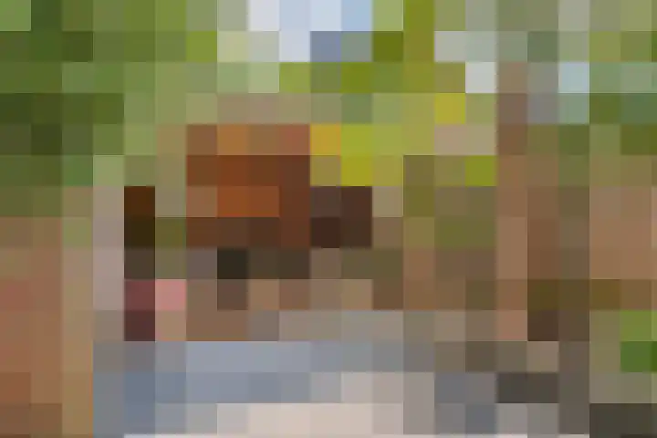 Gallencamp 24 Tiel thumbnail 33