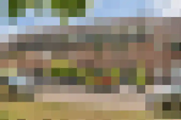 Gallencamp 24 Tiel thumbnail 37