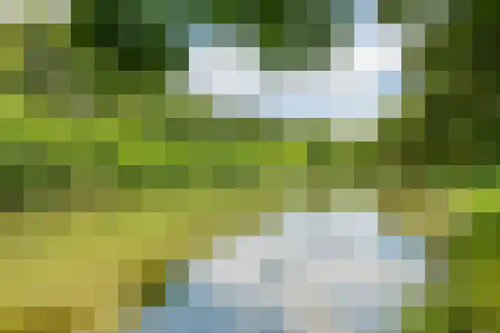 Gallencamp 24 Tiel thumbnail 38