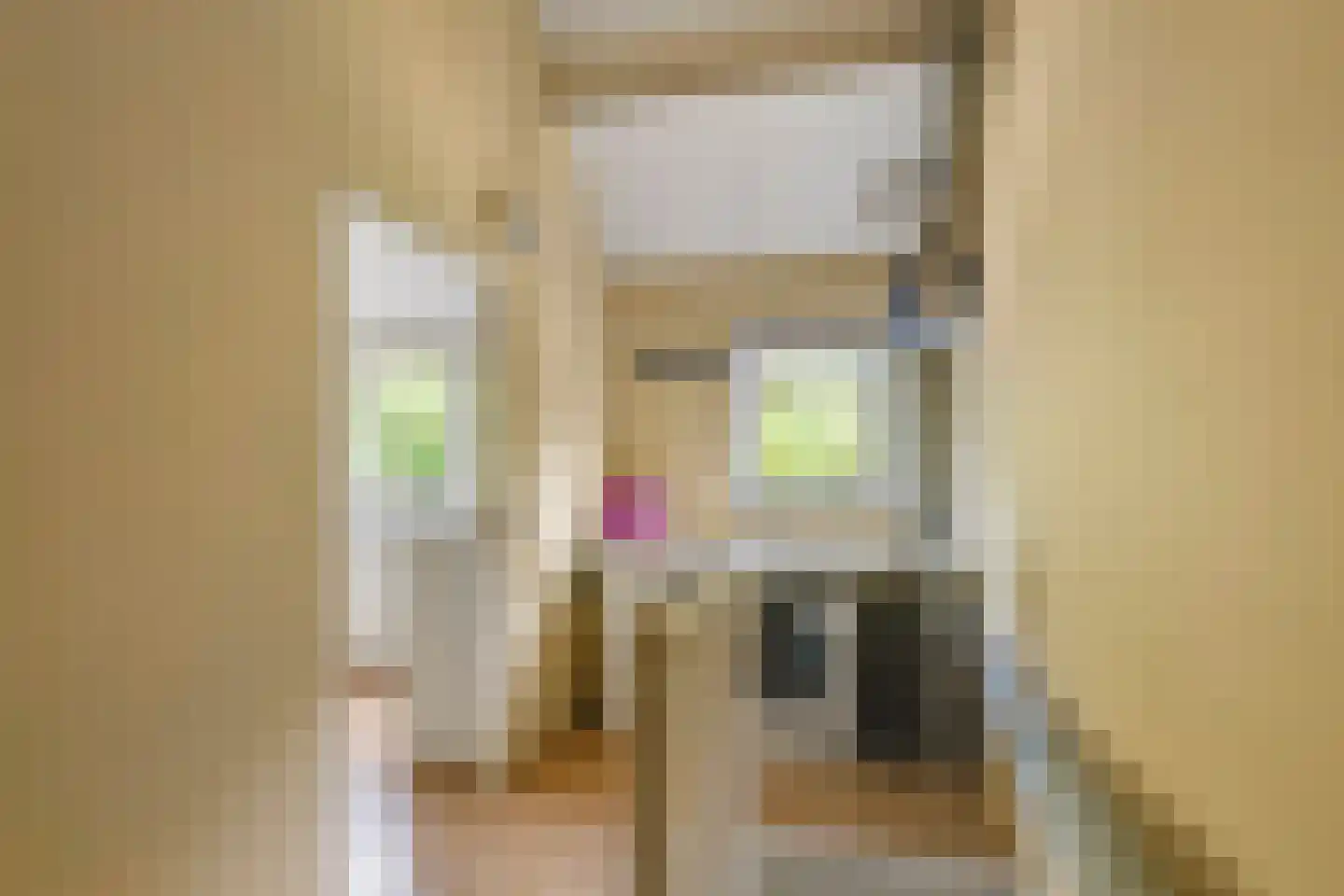 Gallencamp 28 Tiel thumbnail 21