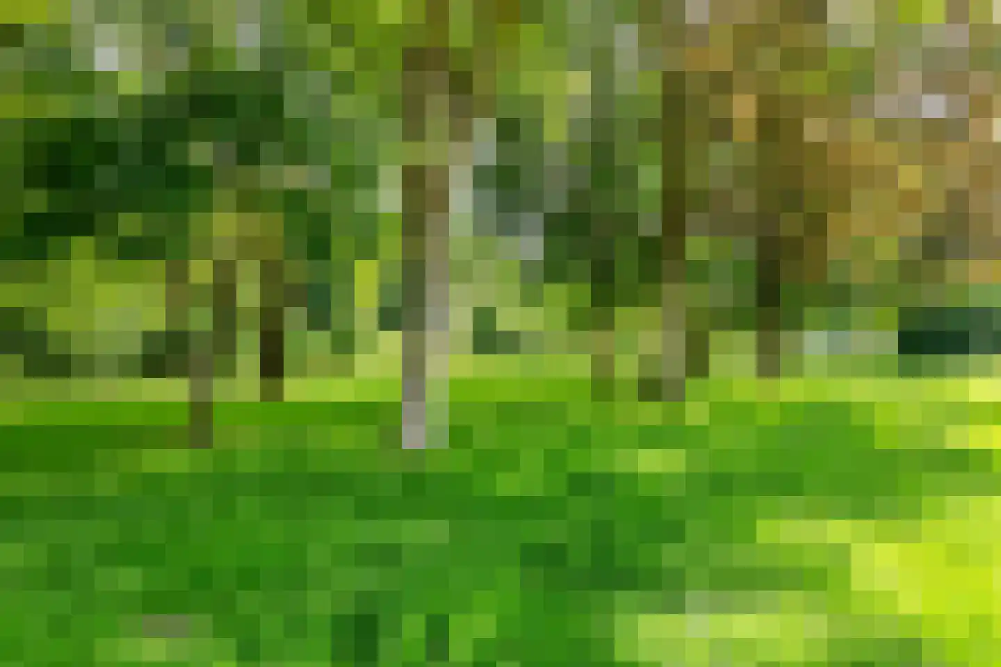 Gallencamp 28 Tiel thumbnail 25
