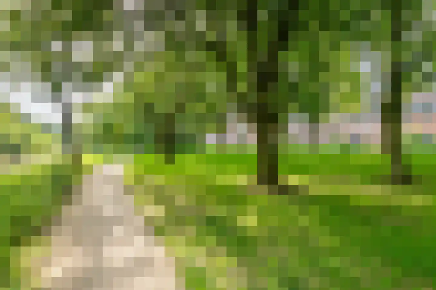Gallencamp 28 Tiel thumbnail 29
