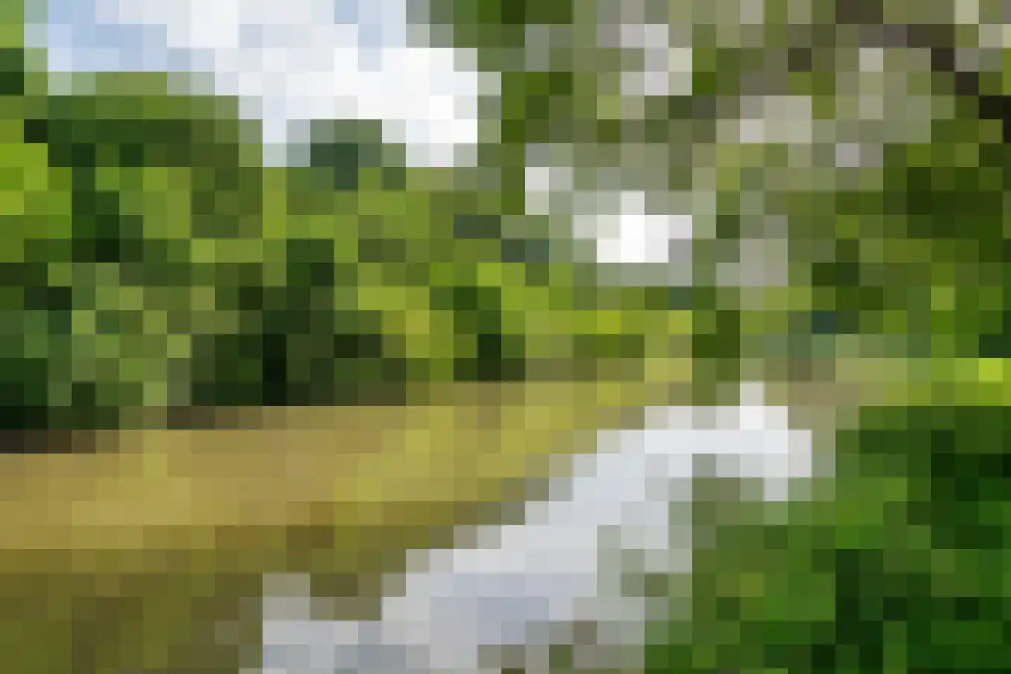 Gallencamp 28 Tiel thumbnail 30