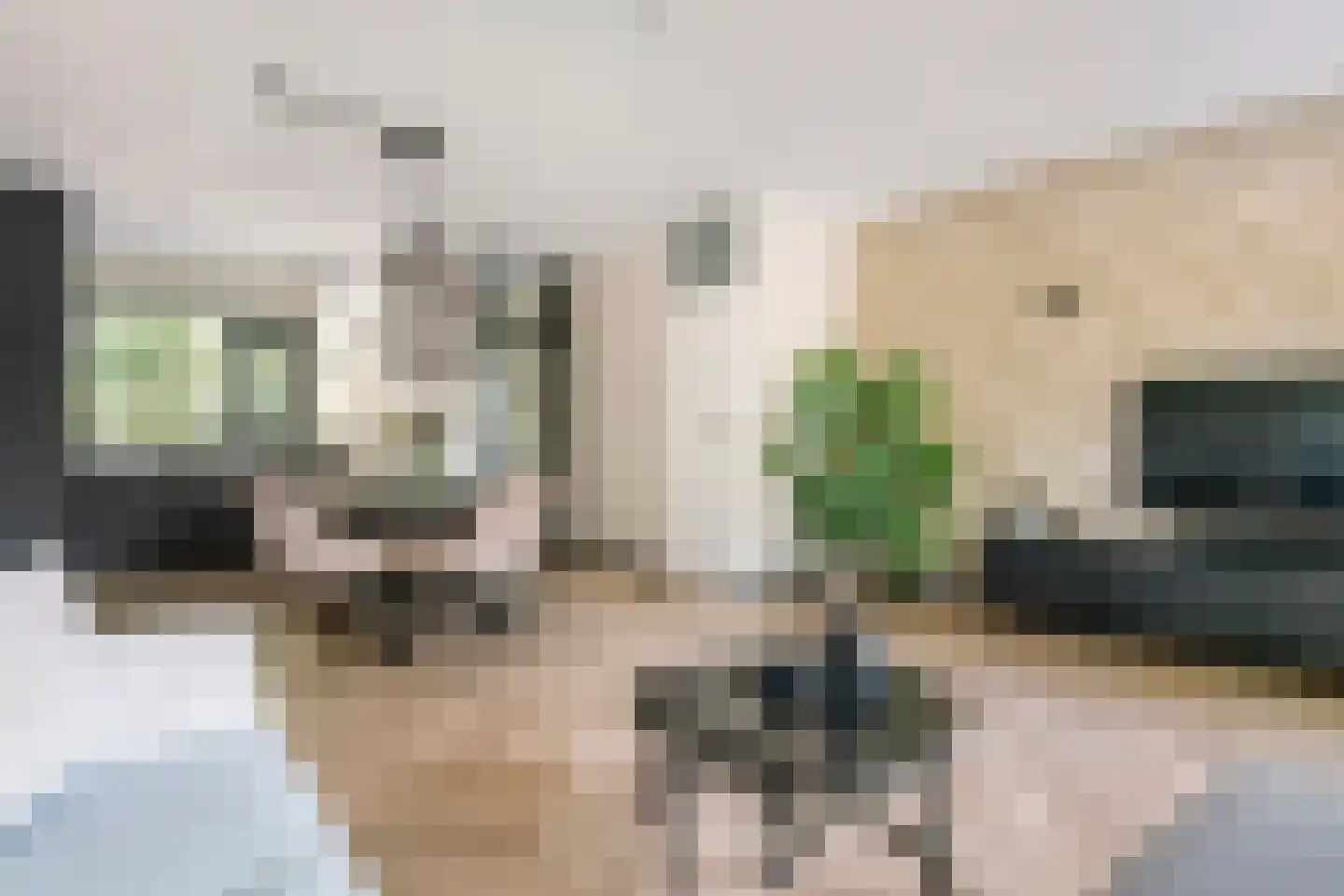 Gallencamp 28 Tiel thumbnail 7