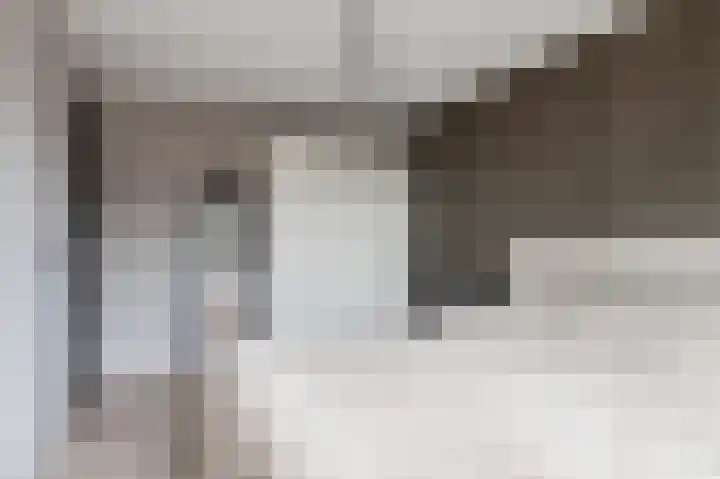 Gallencamp 30 Tiel thumbnail 12