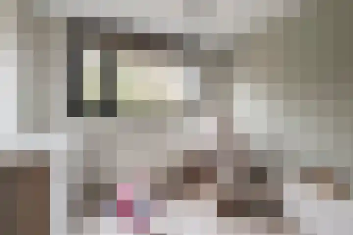 Gallencamp 30 Tiel thumbnail 16