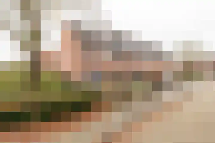 Gallencamp 30 Tiel thumbnail 26