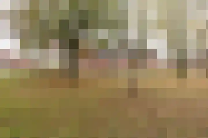 Gallencamp 30 Tiel thumbnail 28