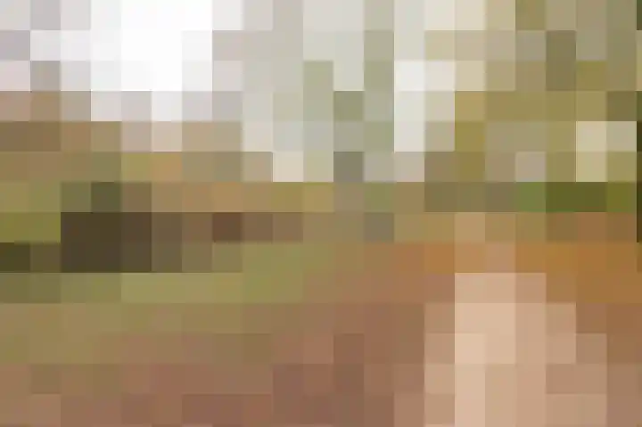 Gallencamp 30 Tiel thumbnail 29