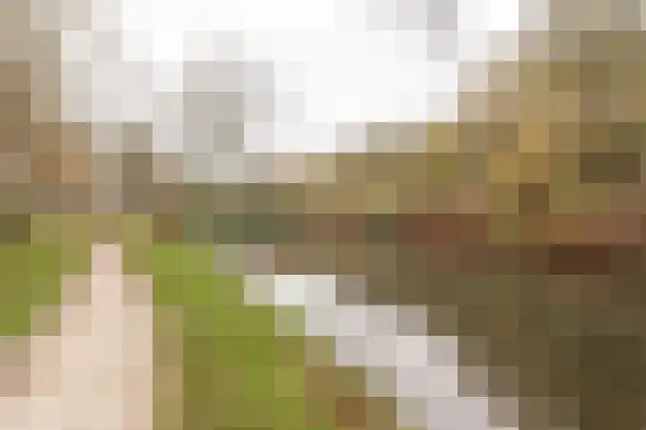 Gallencamp 30 Tiel thumbnail 30