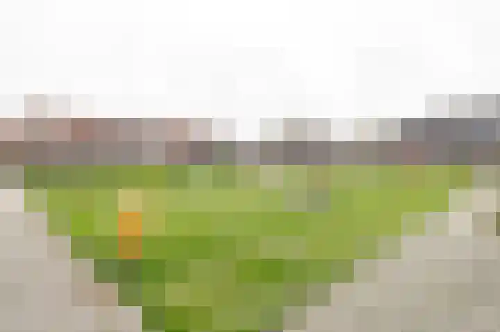 Gallencamp 30 Tiel thumbnail 31