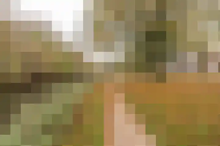 Gallencamp 30 Tiel thumbnail 4