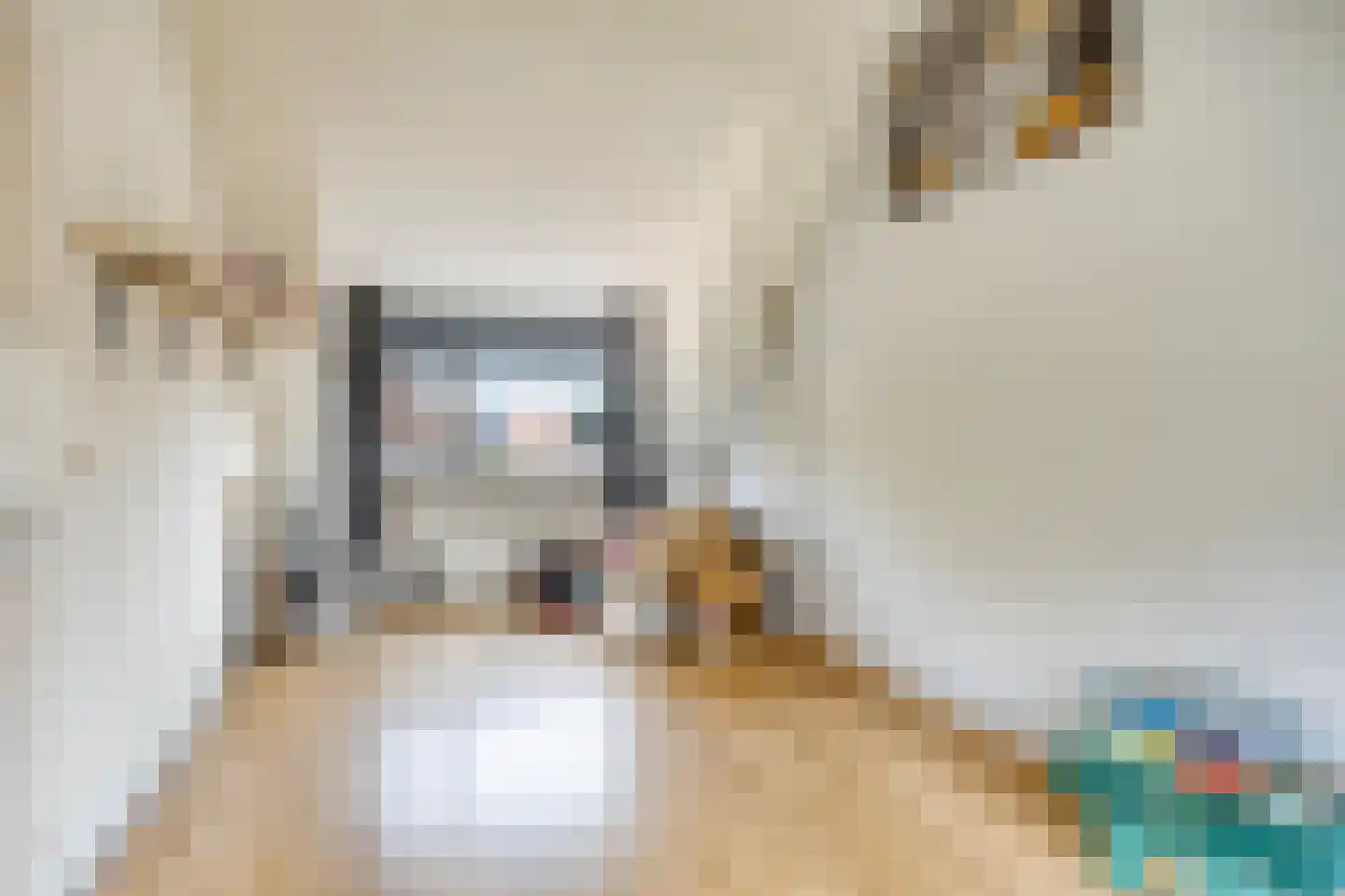 Gallencamp 7 Tiel thumbnail 25