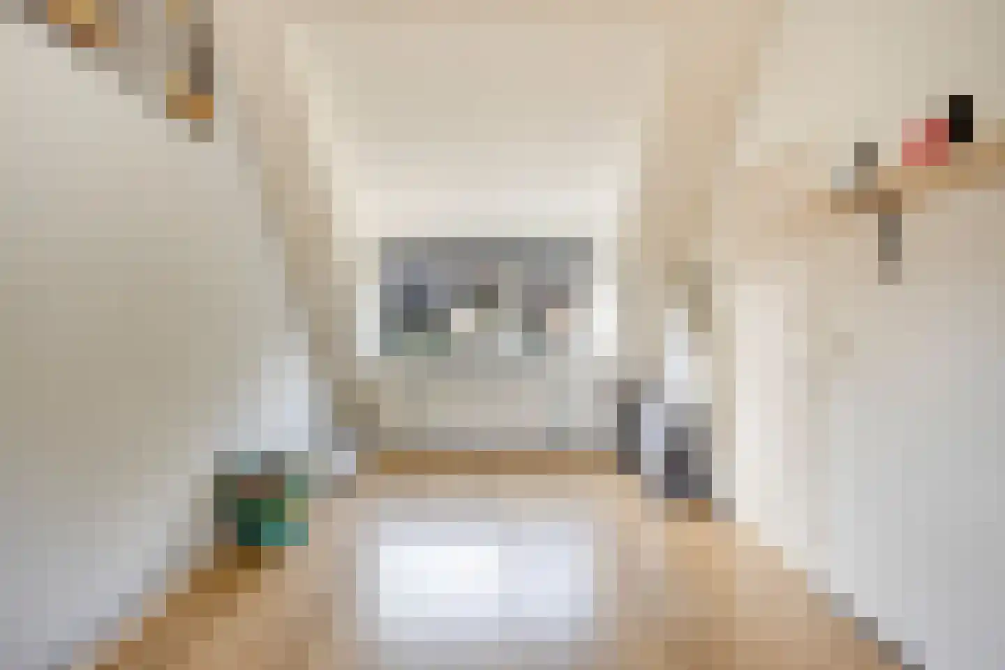 Gallencamp 7 Tiel thumbnail 26