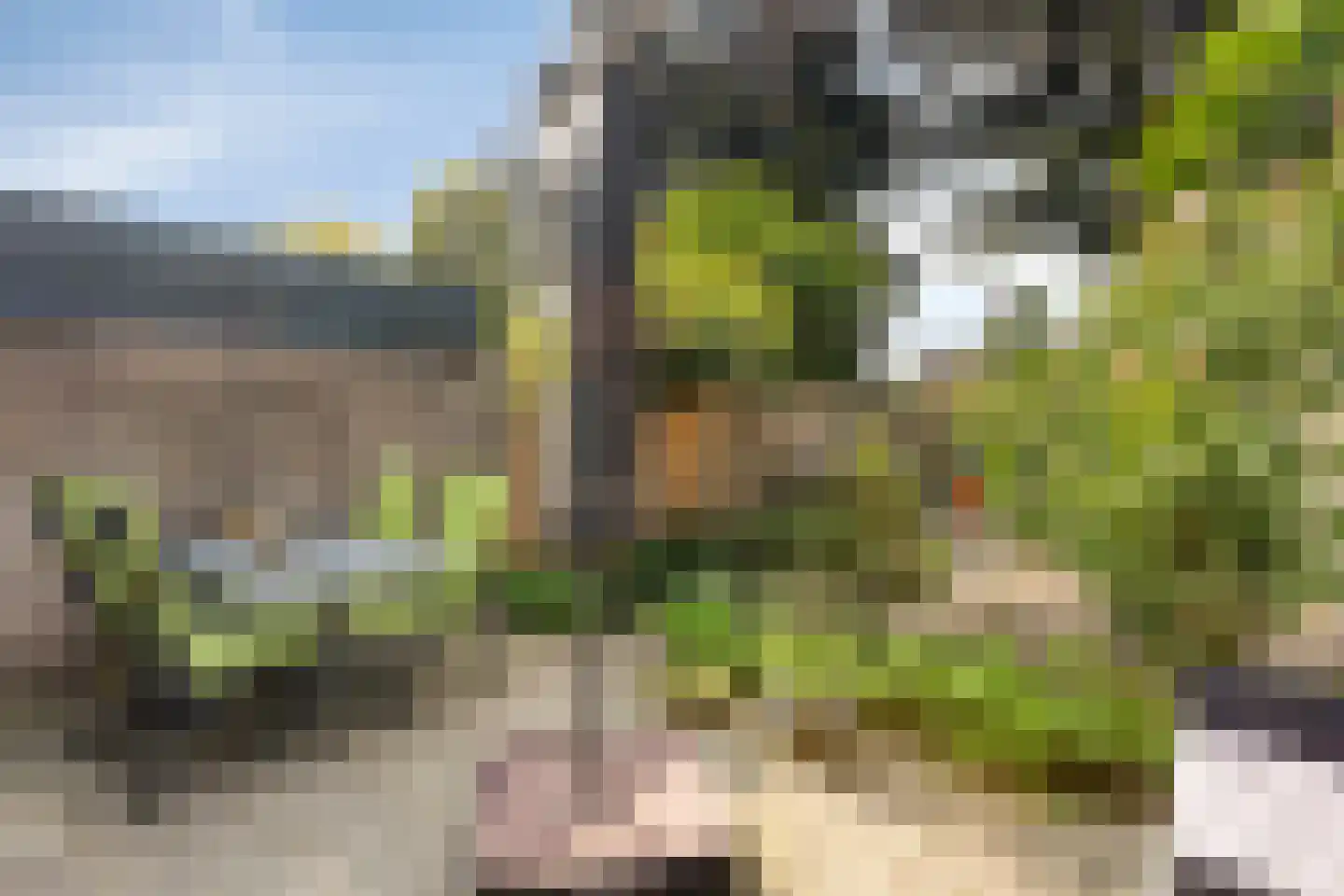 Gallencamp 7 Tiel thumbnail 28