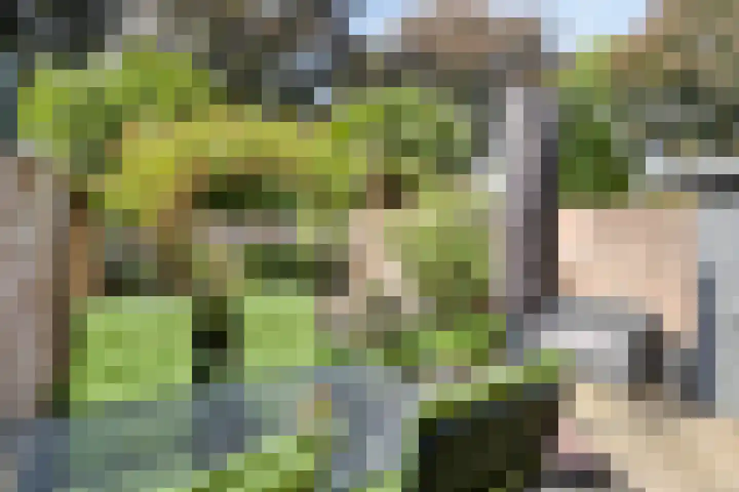 Gallencamp 7 Tiel thumbnail 29