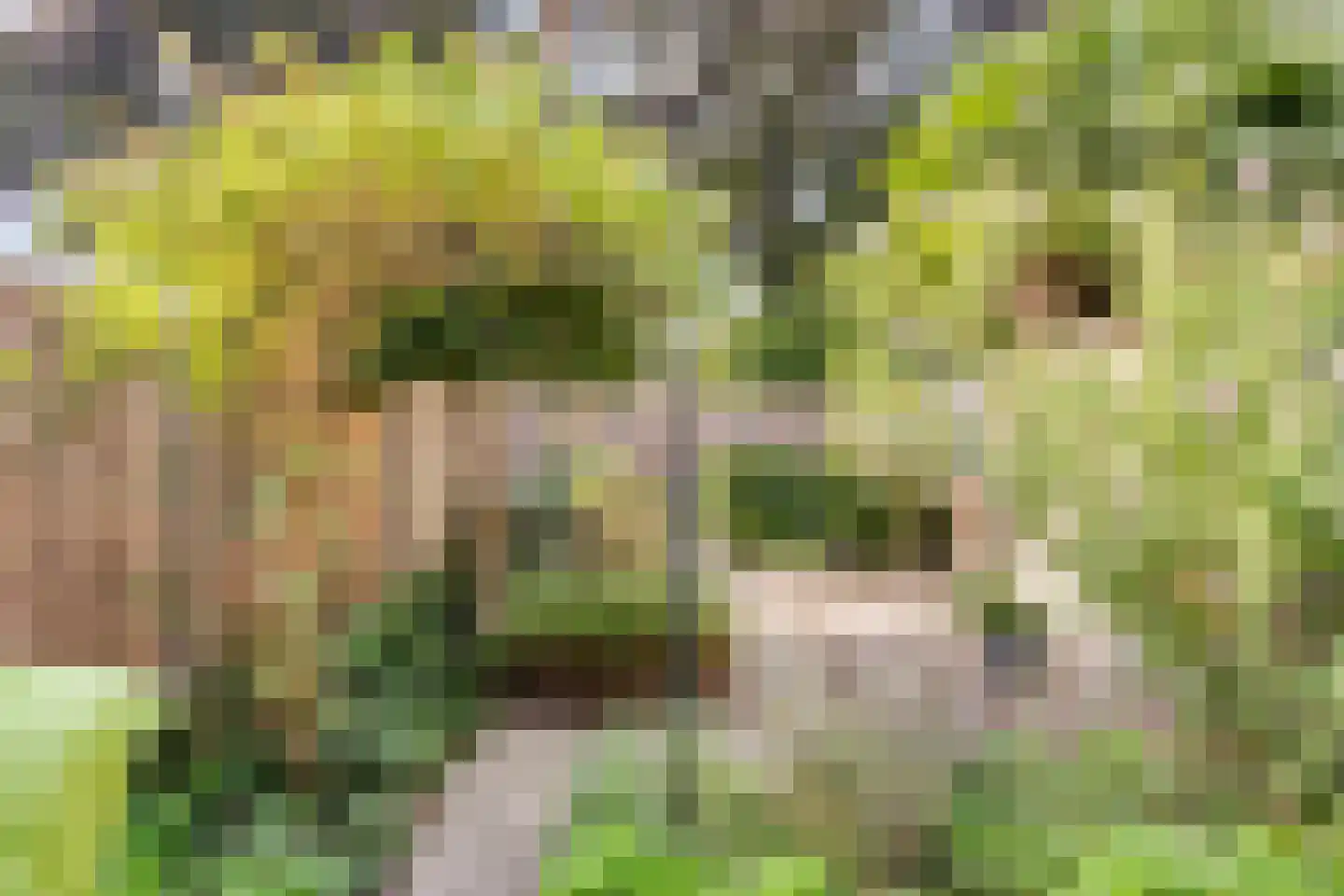 Gallencamp 7 Tiel thumbnail 30