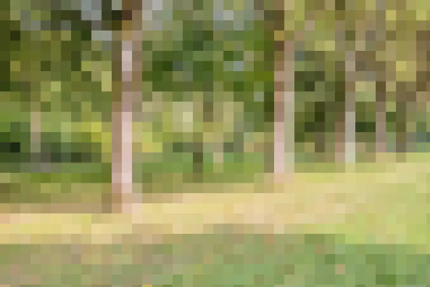 Gallencamp 7 Tiel thumbnail 33