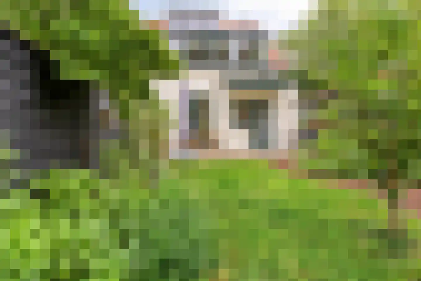 Gallenkamp Pelsweg 26 Soest thumbnail 32