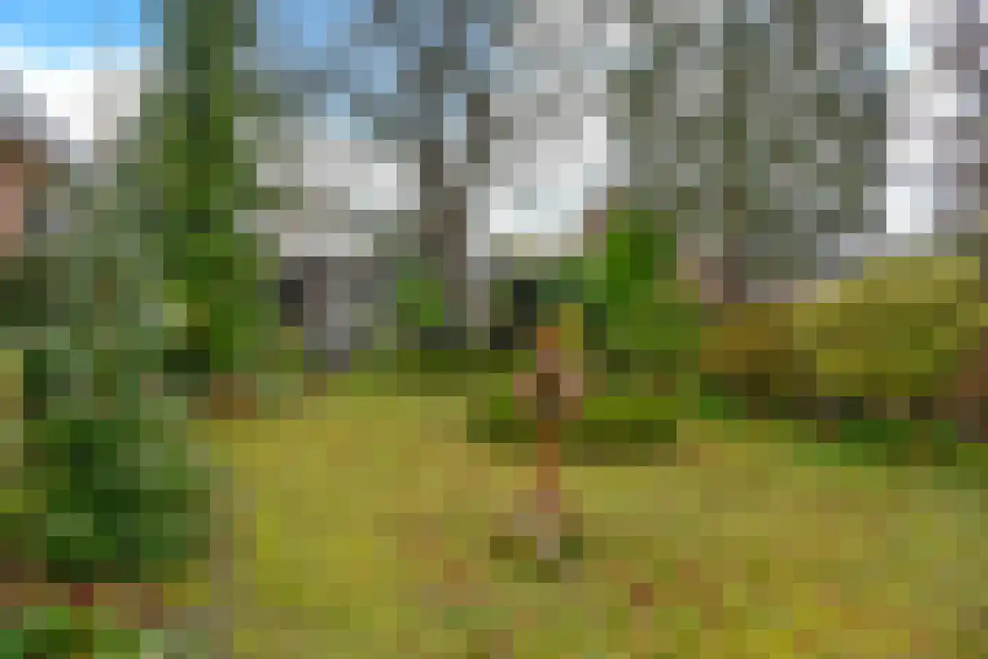 Gallenkamp Pelsweg 3 Soest thumbnail 4