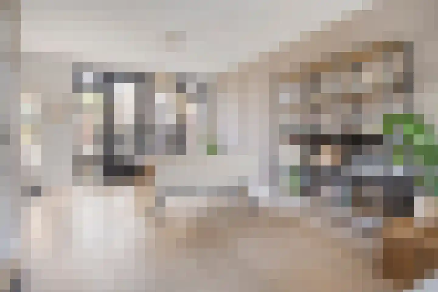 Gallenkamp Pelsweg 33 Soest thumbnail 10