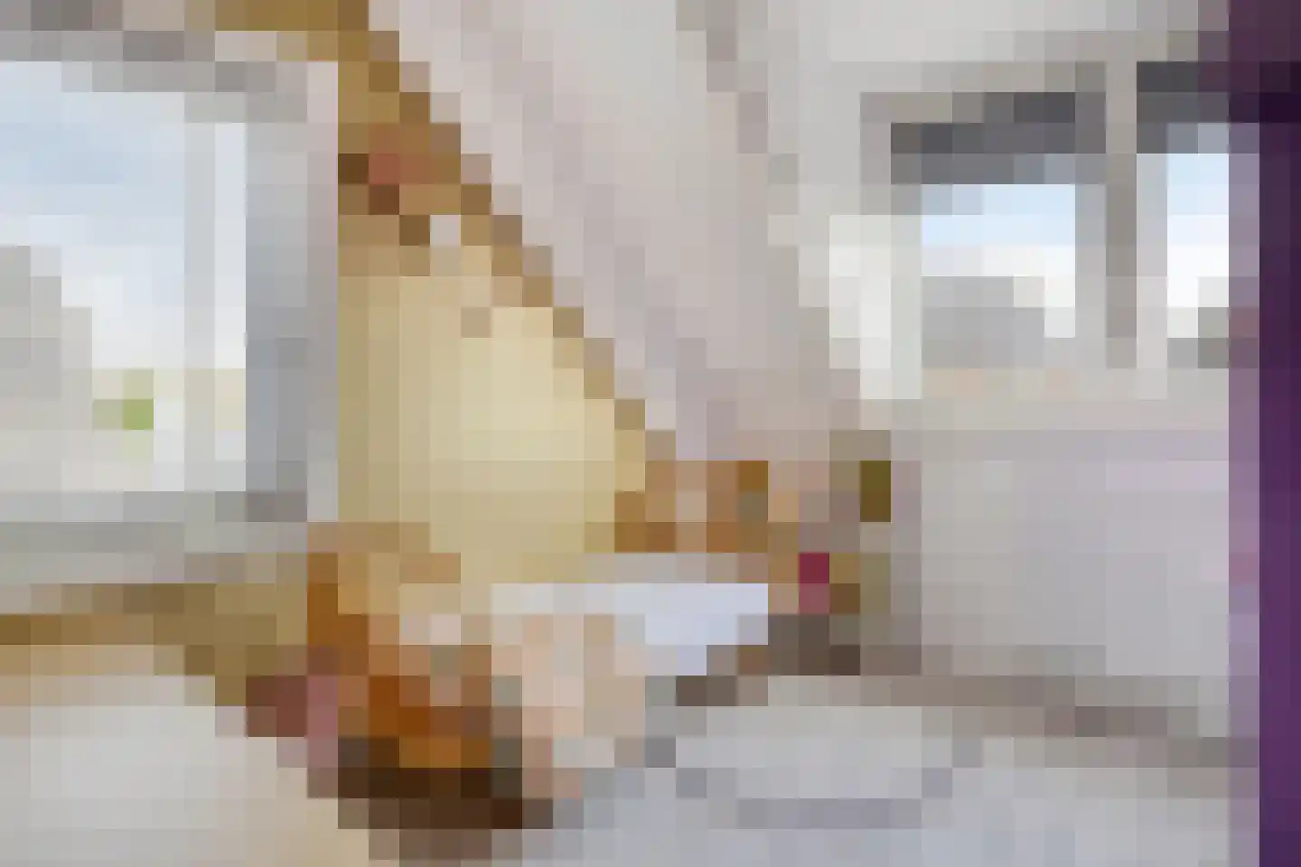 Gallenkamp Pelsweg 33 Soest thumbnail 24