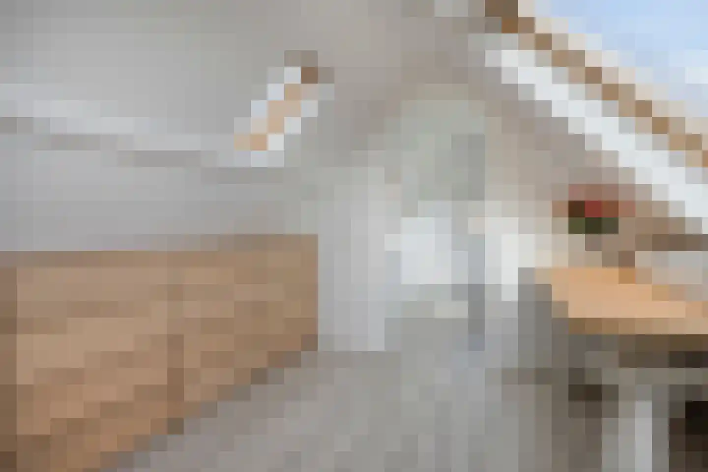 Gallenkamp Pelsweg 33 Soest thumbnail 31