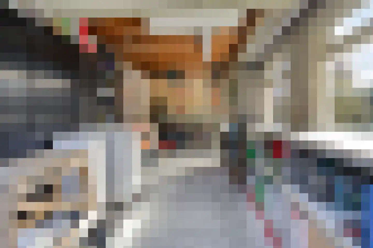 Gallenkamp Pelsweg 33 Soest thumbnail 39
