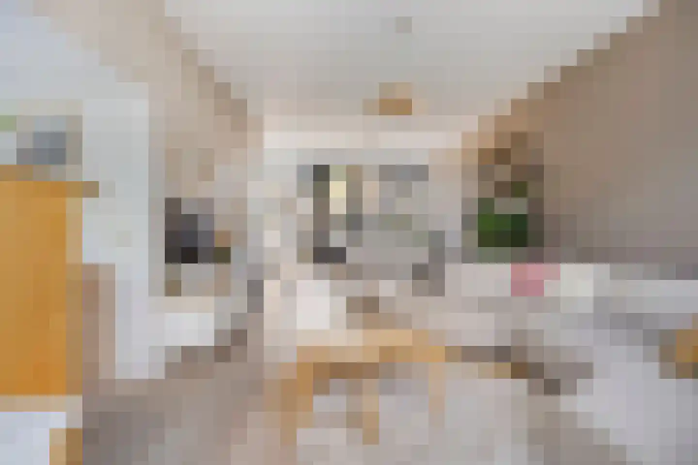 Gallenkamp Pelsweg 33 Soest thumbnail 4