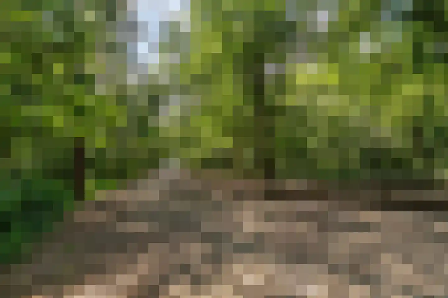 Gallenkamp Pelsweg 33 Soest thumbnail 45
