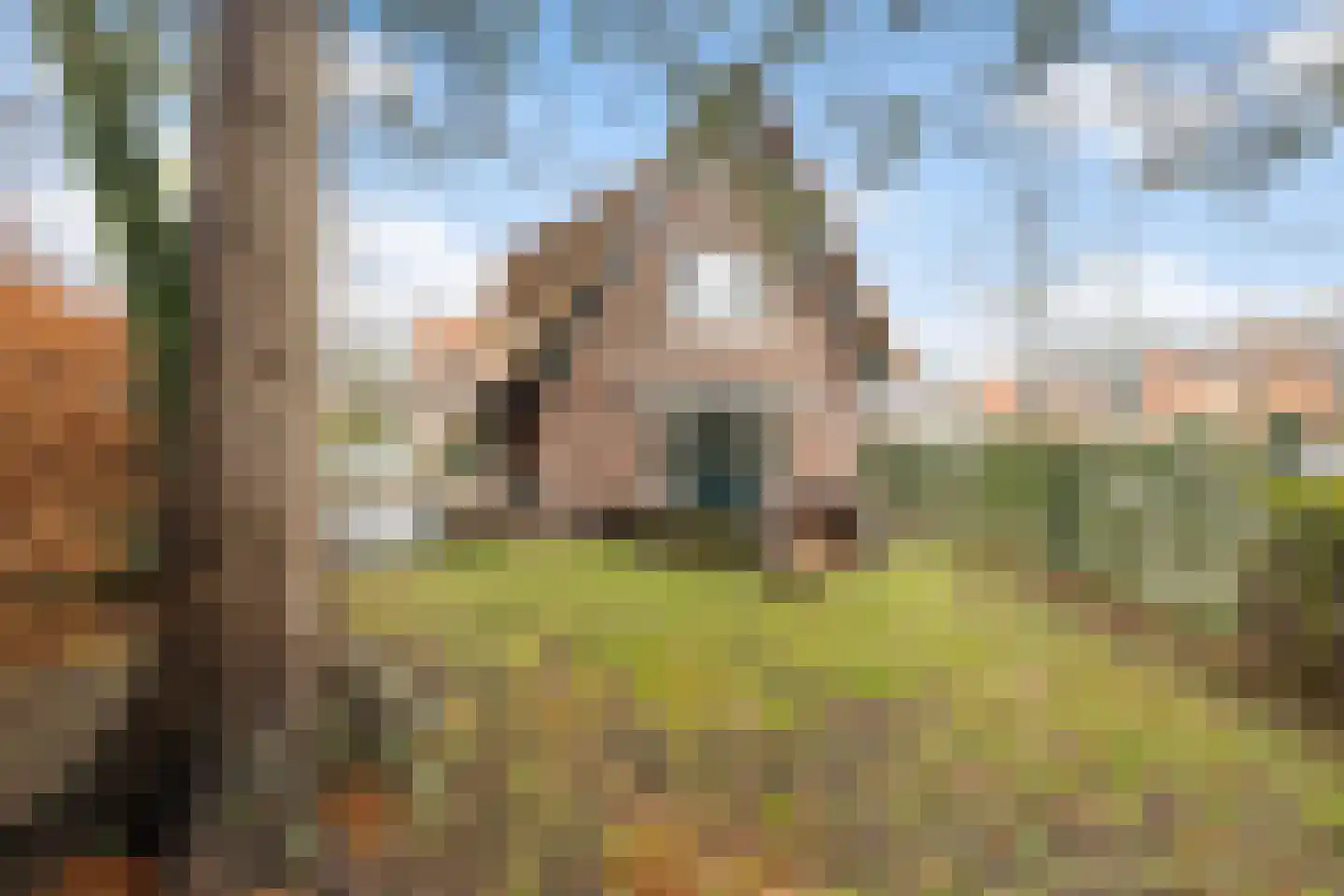 Gallenkamp Pelsweg 37 Soest